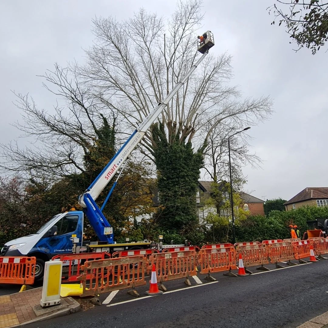 Tree Pruning From Van Mounted MEWP
